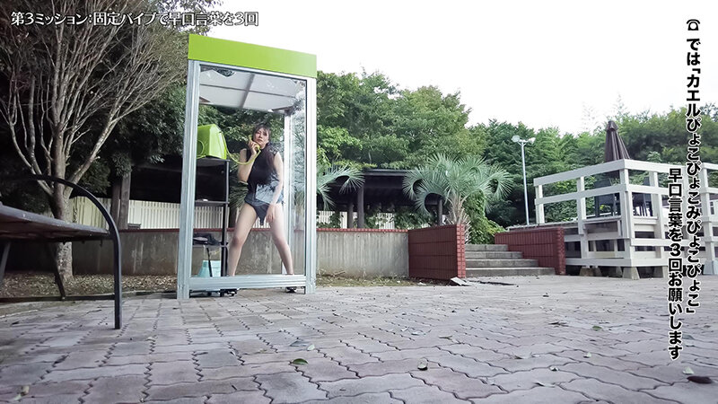 SGKI-087 sample