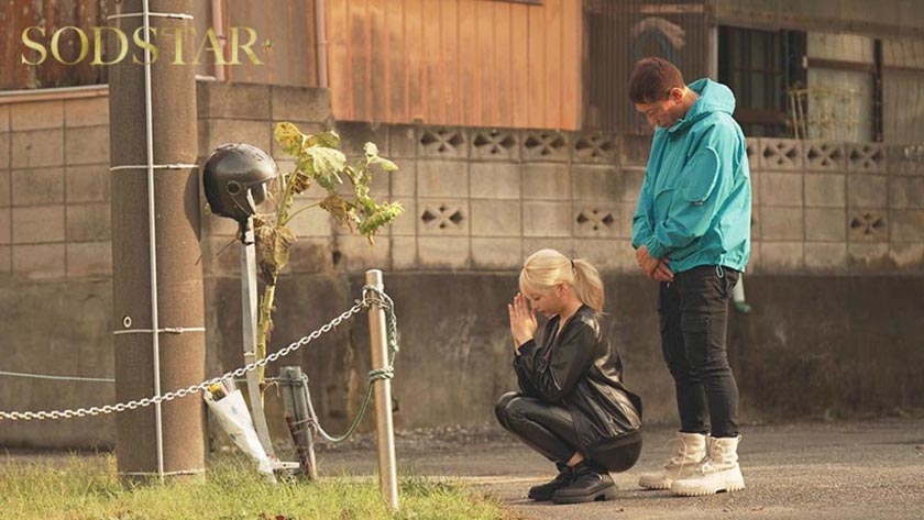 START-531 sample
