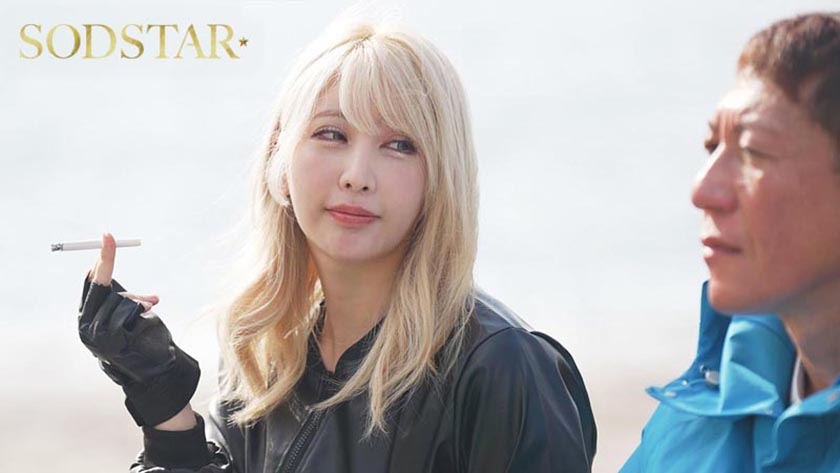 START-531 sample