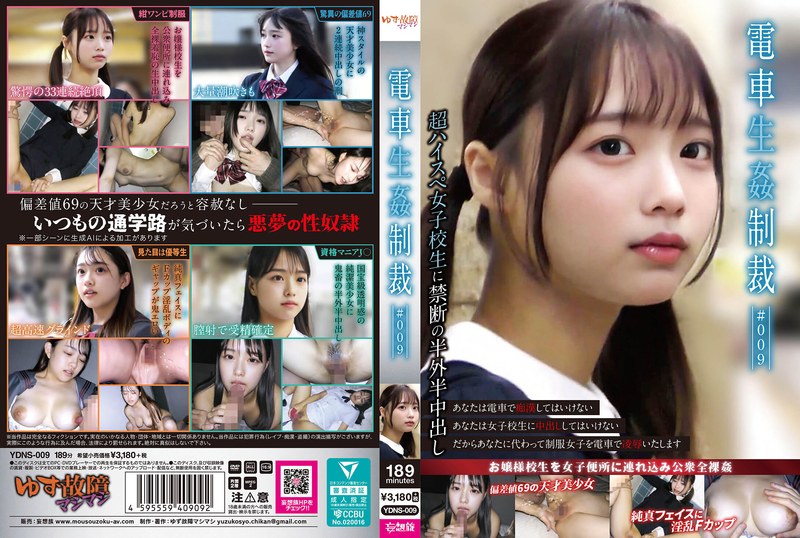 YDNS-009